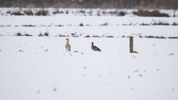 f922f580-0e82-4ad8-8e97-17cb70ebdd4a