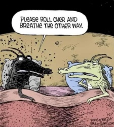 5776bef6-5404-40c3-9c1f-ed2b800e78f3