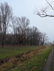 f2cdb1db-b711-4620-b66a-83e4566a3cef