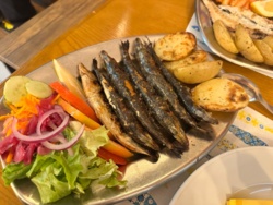 a49269f0-cdd6-41c5-9a33-8f14d390b943