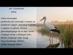 Który Jan Twardowski Poezje Wiersze | Poezja Dla Duszy