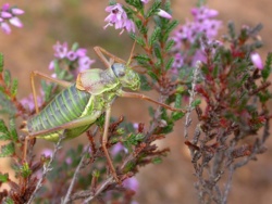 9d97c956-9b43-4b74-b562-bd1a8394cb7a