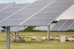 Latem Polska mogłaby być zasilana wyłącznie z paneli słonecznych