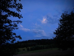 529d971f-d7d0-4c5c-965a-c9cdfc9c3319