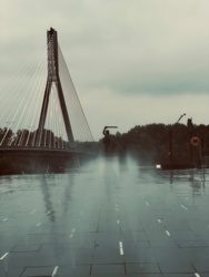 c223c01c-31c0-448e-befe-cfbb11024c63