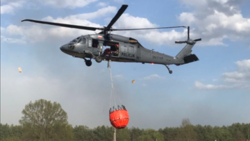 Pożar lasu w Prośnie. Strażacy opanowali ogień. Spłonęło 100 hektarów lasu