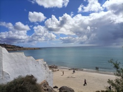 ff7f371a-8e51-47c2-aaef-805d70638605