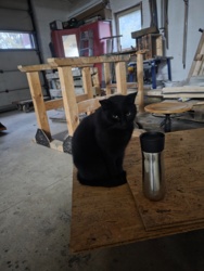 3d20bbf9-7c0e-4599-81a9-3c6f6693dc01