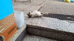 2d42b462-546f-4341-971d-33654ad3c4a4