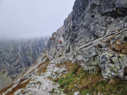 3c3979a3-1012-4cd8-b1c3-267739dc5fc1