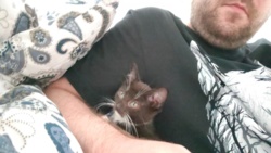 e91cd965-a9f7-41e1-91f5-e32855d455de