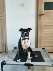 0422f840-249f-4b44-b01b-982557a06b19