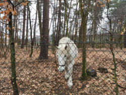 e5c655f9-f3d1-481f-b606-e5c9465f2d72