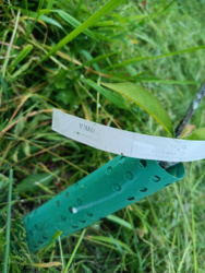 3e24f46b-907e-40e2-8780-9308aeb475c1