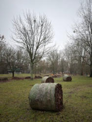 e02c3438-aa5f-4d6c-b3ad-1ec5390e16d8