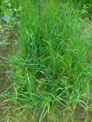 4e9110a6-a155-4933-a349-da88d514330b