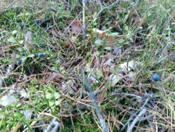 03d6179c-c438-402d-8acf-79fd21eb114f