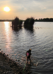 460c9144-78fb-4119-b882-98bdf94970f0