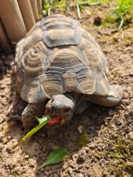 d9a1ab3c-e2eb-4c89-b7da-012d041bcf9c