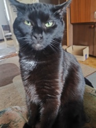 4cb3792e-d295-4a78-9a0e-86b432999551