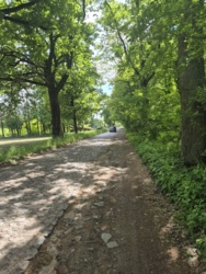 d2cf71ef-bcb9-4c11-893b-cf038f1e03a3