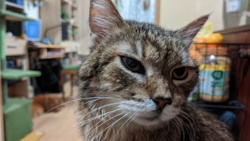 2f3ffc6d-3d4c-4654-8622-b343af90b1d0