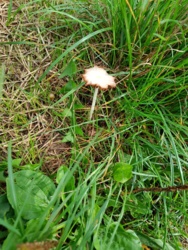 4f29fa00-0321-4917-b32a-2f44584abbdd