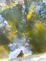 a17337b5-0e83-40db-aaaf-c50bb0192326