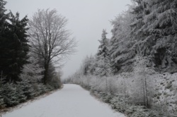 5cc4527d-46ac-4af3-90e1-74d580844ea3