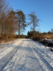 6f568b0f-d811-462f-9291-1dc0607efc29