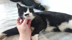 a548cd85-a7cb-489c-bf71-6907646ef9e5