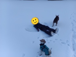 827ebe3e-b664-4704-bc93-907848b0cf3d