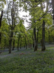 518e9e9a-3a29-4e64-943b-14b83057a476