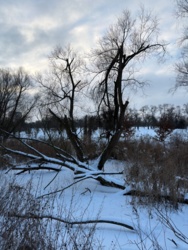 1a963b32-ba40-4c67-8728-27daa12ce3d3