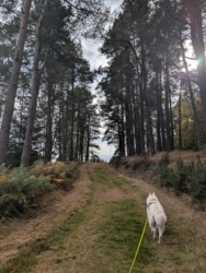 d70ae179-0630-4a2f-a5c3-da9883397764