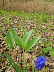 43c3cd7a-2d1f-4d65-801d-95d2d35d1d6e