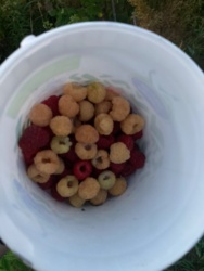 9424ab7c-bd7e-40cd-872c-ea3e9fd4f990