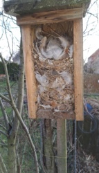 27c1570f-3824-4268-bd57-7b301d624deb