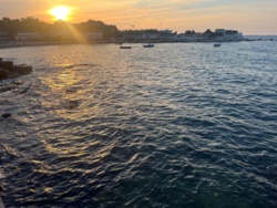 c0008602-29a7-4939-8ca7-2bb86f8e2976