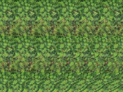 a0e0a9de-b2dd-4714-bd6c-9594109aa50a