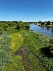 aa763b55-7633-481d-9b1e-e37588d8a346