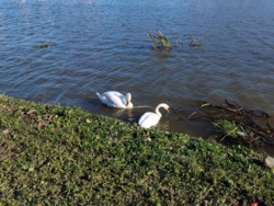 2abfa030-69c0-40ac-a304-9a757f019c82