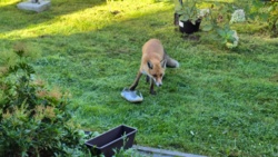 7613077d-ded4-4b93-ae26-8a0f30451110