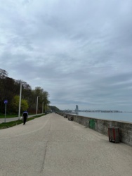 cef2e465-5936-4f93-874d-de57a37e76ce