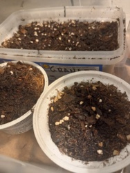 dcf2a1c7-7b88-4b17-ad83-e39d1c426fc9