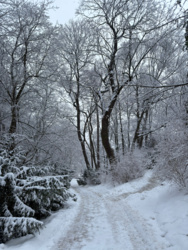 184cd07c-77ec-4133-ac79-3fccfd706d69