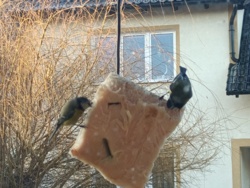 3a746bc4-444e-4e19-b195-ed4ee7494493