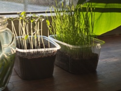 5b54d8b2-d1e4-4772-9d59-0a5497d2507e