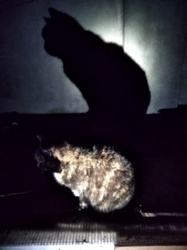 c87e3bcf-a301-4d84-8569-a8e124a6f29e