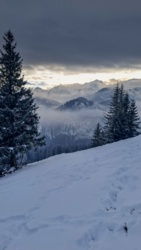 396e7579-c955-44d3-9e09-e25dac29dcc4